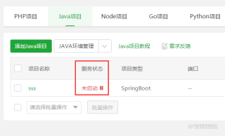宝塔添加Java项目Spring_boot类型后一直显示未启动状态，怎么解决？